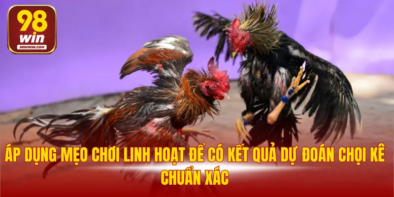 Đá Gà Tre - Trò Chơi Hấp Dẫn Với Nhiều Cơ Hội Thắng Lớn 4 Áp dụng mẹo chơi linh hoạt để có kết quả dự đoán chuẩn xác