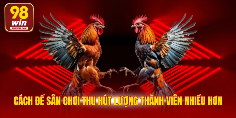 Đá Gà 98WIN - Chuyên Mục Đặt Cược Tỷ Lệ Thắng Hấp Dẫn 3 Cách để sân chơi thu hút lượng thành viên nhiều hơn