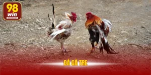 Đá Gà Tre - Trò Chơi Hấp Dẫn Với Nhiều Cơ Hội Thắng Lớn