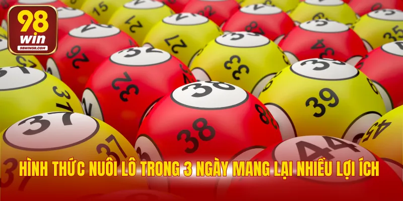 Nuôi Khung 3 Ngày - Bí Quyết Chinh Phục Thưởng Dễ Dàng 2 Hình thức nuôi lô trong 3 ngày mang lại nhiều lợi ích
