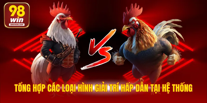 Đá Gà 98WIN - Chuyên Mục Đặt Cược Tỷ Lệ Thắng Hấp Dẫn 4 Tổng hợp các loại hình giải trí hấp dẫn tại hệ thống
