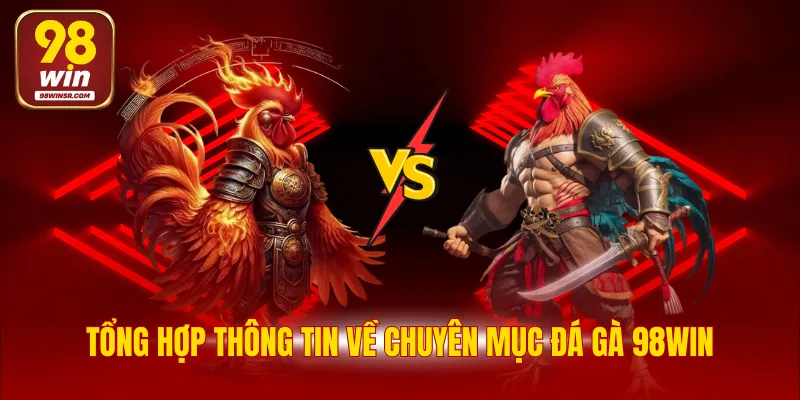 Đá Gà 98WIN - Chuyên Mục Đặt Cược Tỷ Lệ Thắng Hấp Dẫn 2 Tổng hợp thông tin về chuyên mục đá gà 98WIN
