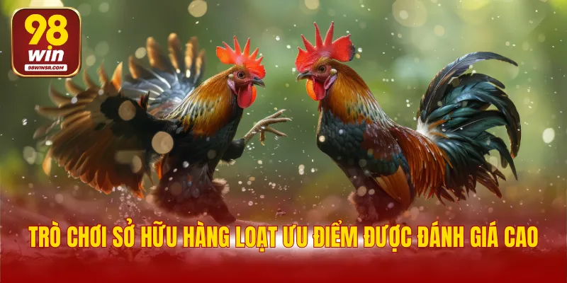 Đá Gà Tre - Trò Chơi Hấp Dẫn Với Nhiều Cơ Hội Thắng Lớn 2 Trò chơi sở hữu hàng loạt ưu điểm được đánh giá cao